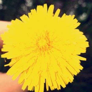 Meet your Posher, Trystan